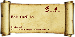 Bek Amália névjegykártya